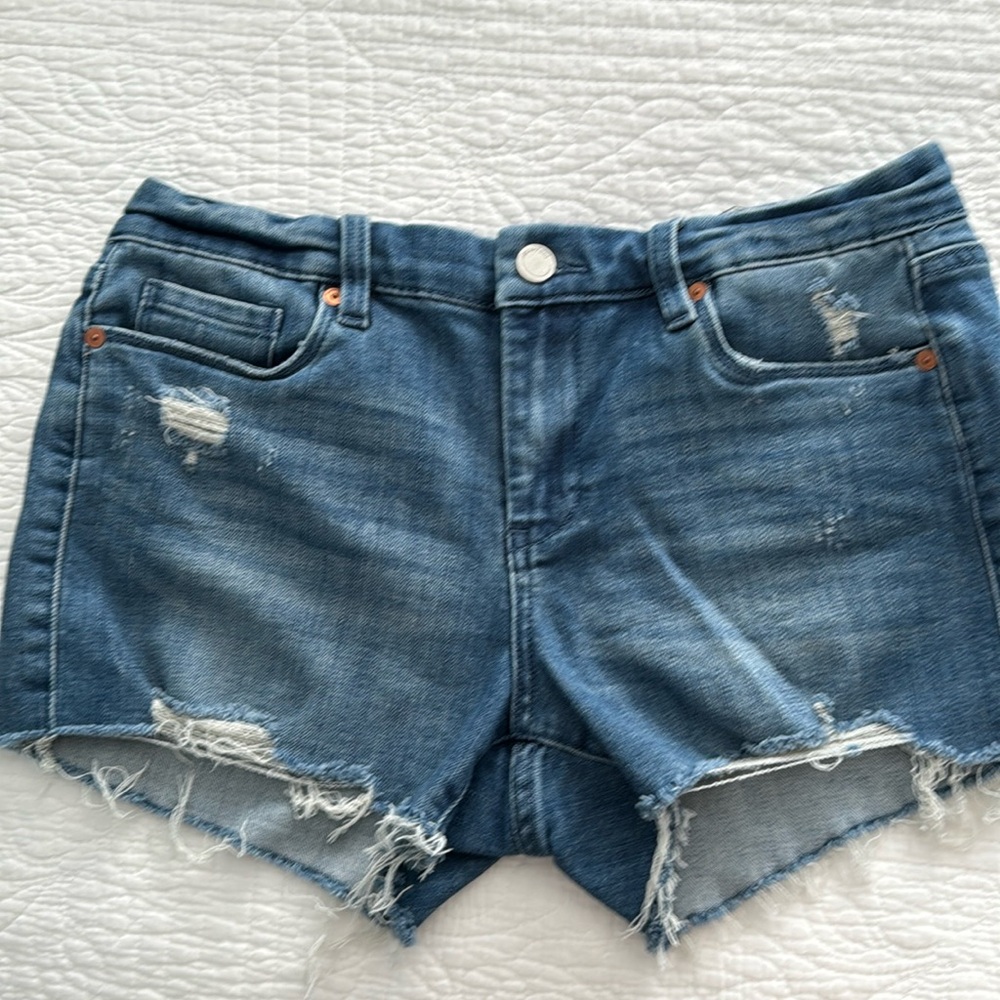 Blank NYC Denim Shorts